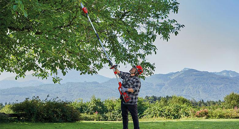 man cutting tree with cordless pole saw