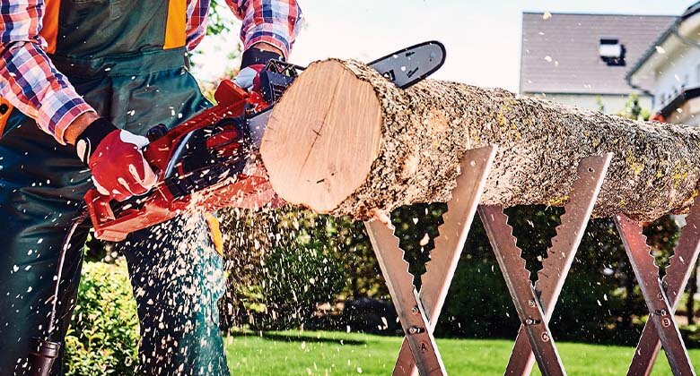 Cutting tree trunk with electric chainsaw side perspective